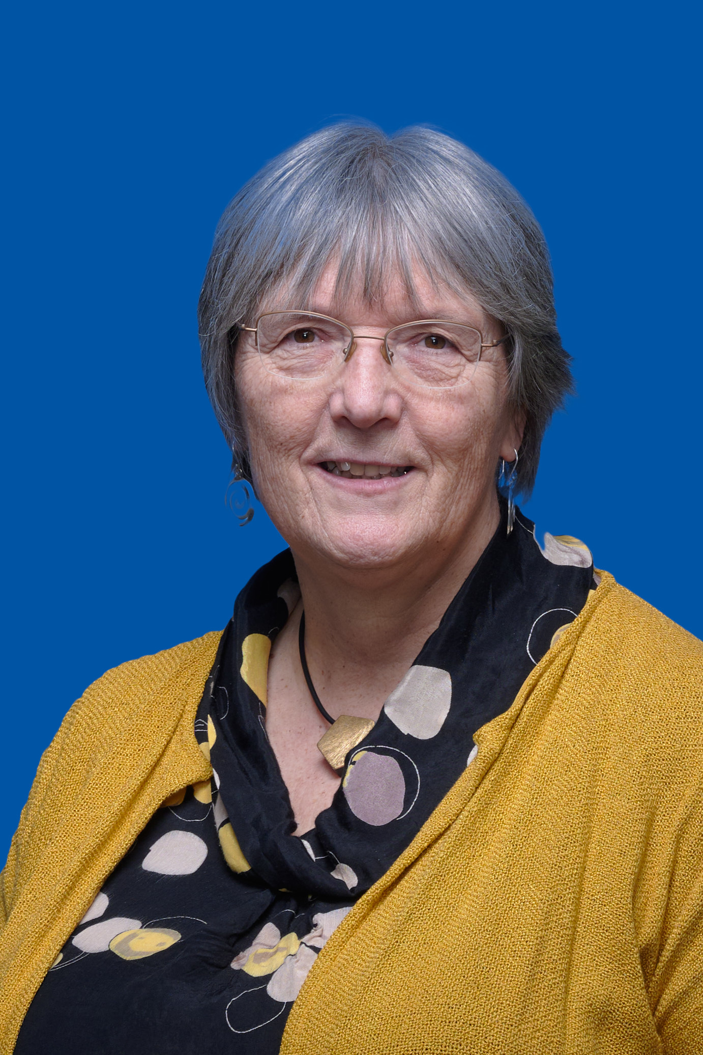 Afbeelding Mevrouw H.H. Wiselius